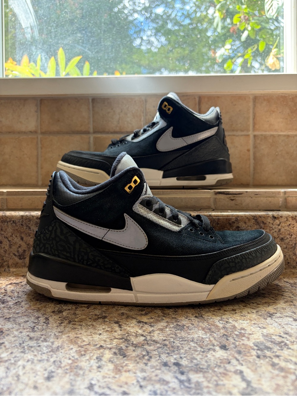 Jordan 3 Tinker SP